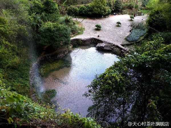 巨无霸水蜜桃水帘洞巨无霸水蜜桃的奇幻之旅——水帘洞的传说