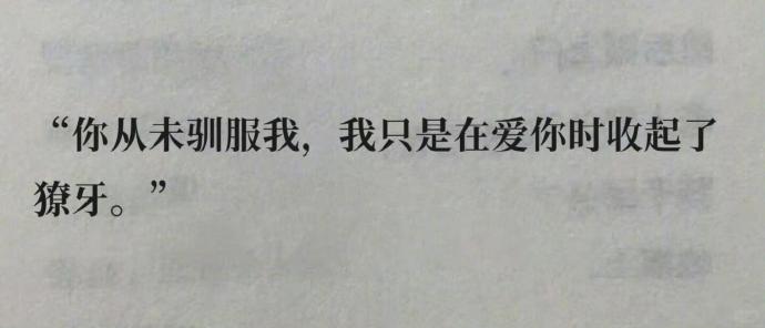 只喜欢你1v2只喜欢你1v2的独特情感-第2张图片