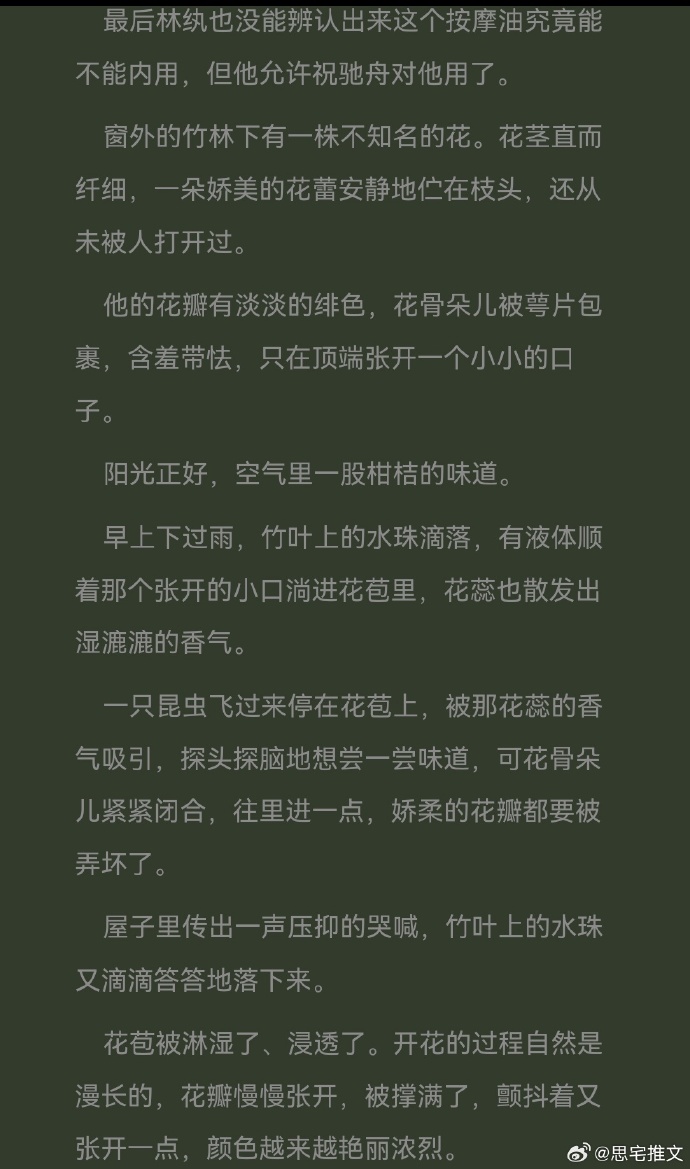 被室友发现小批双男主双性被室友发现的小批双男主双性故事-第2张图片
