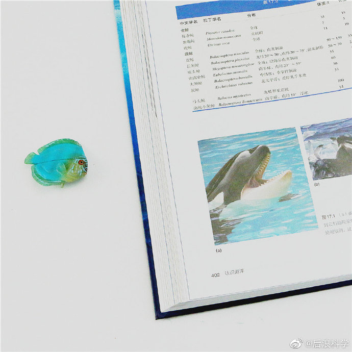 探索卫生纸的奥秘——福利视频网上的实用与娱乐