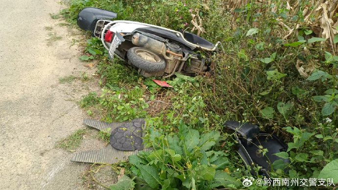 应对疏忽之举，没带罩子让他玩儿了一整天-第1张图片