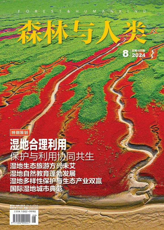 深入探索，如何自w至高c的亲身教学视频-第2张图片