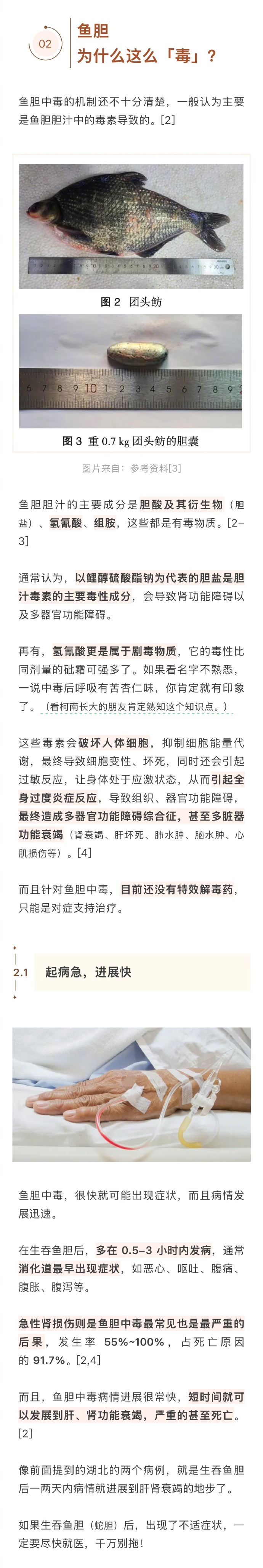 吃鱼时如何避免鱼胆危害-第2张图片