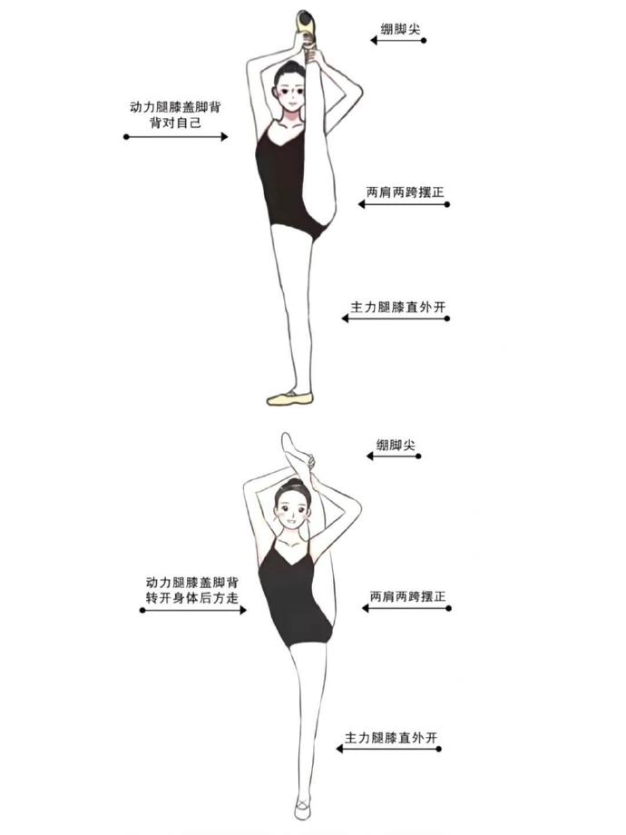 腰部猛然下沉律动腿抬高放墙上后出现麻木感，原因与应对策略-第2张图片