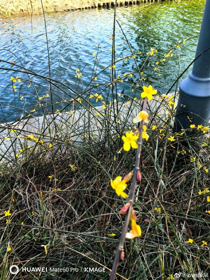 春暖花开论坛公告区春暖花开论坛公告区——交流与分享的温暖之地