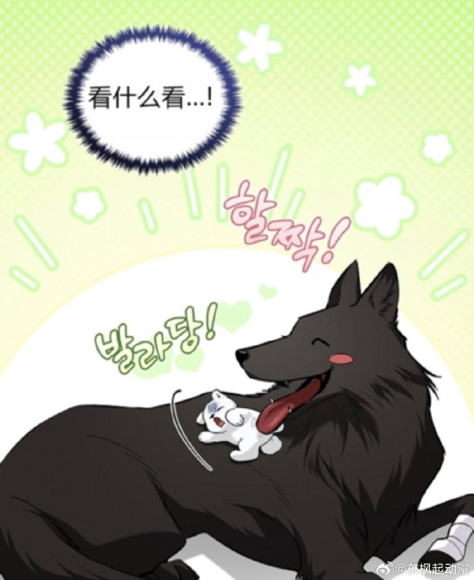 笨狗耽美漫画，一段温馨而有趣的视觉故事-第3张图片
