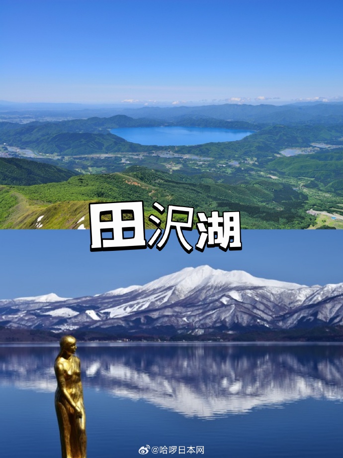 日本黄页在线观看免费资源指南