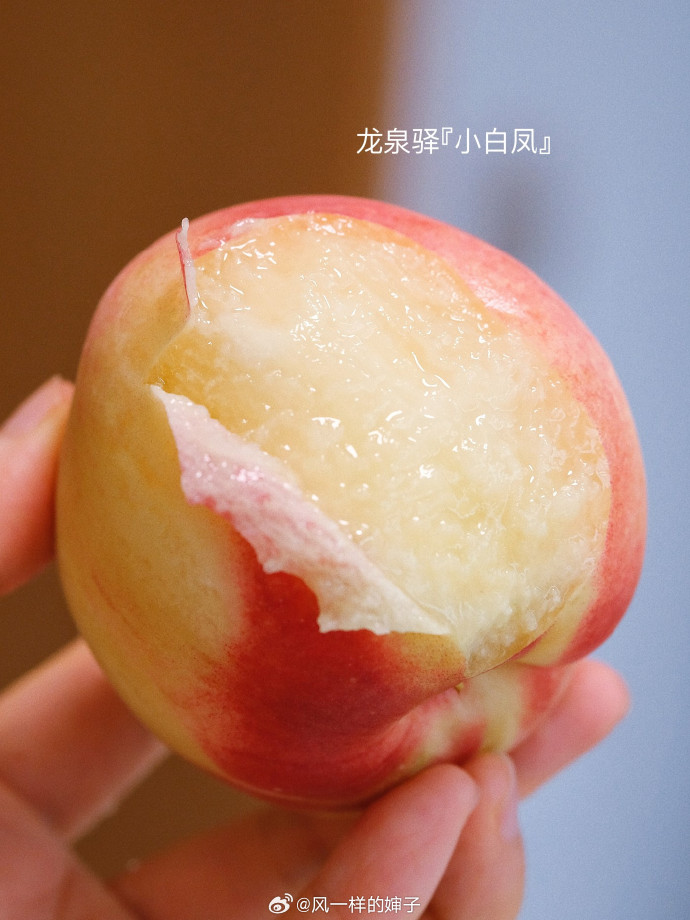 小小水蜜桃视频高清在线播放小小水蜜桃视频高清在线播放，探索视觉盛宴的魅力