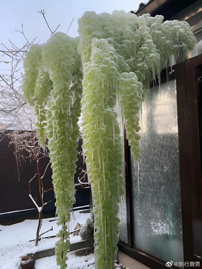 把冰葡萄一颗一颗往里堆男男小说冰葡萄的独特堆砌艺术