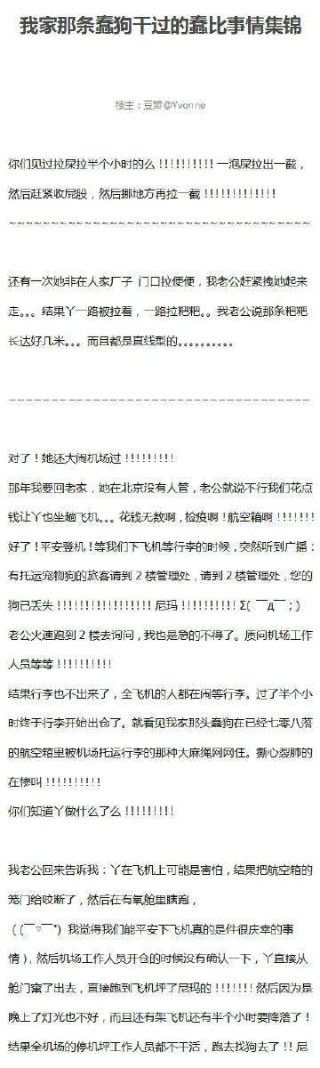 EEUSS电影系列，深入解析鲁片一区二区三区的魅力-第3张图片