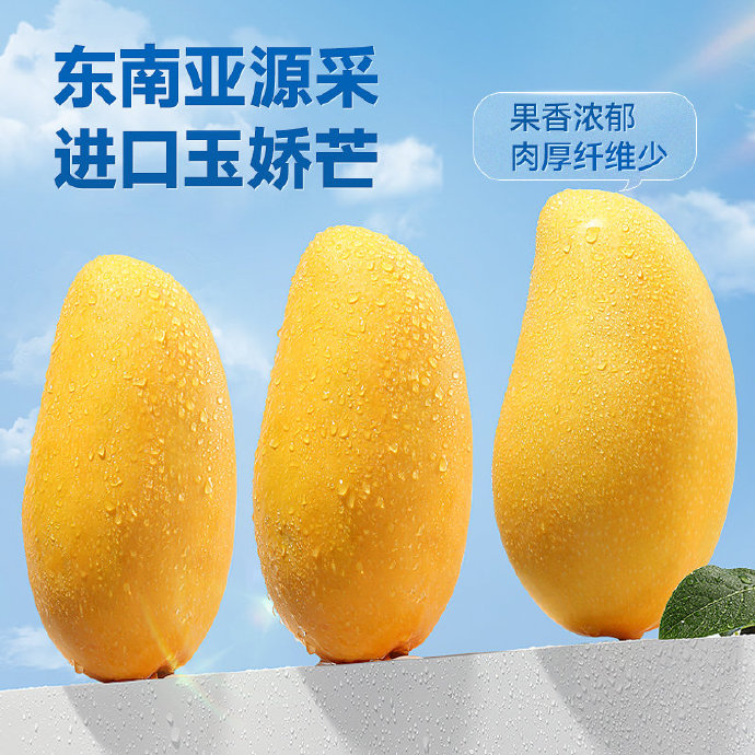 亚1州区2区3区4区产品芒果乱码现象分析