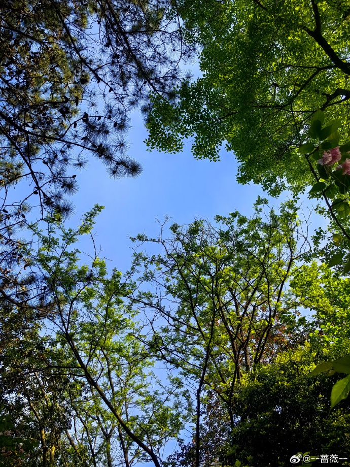 草草发地布页线路1草草最新发布WY68地扯的全面解析-第3张图片