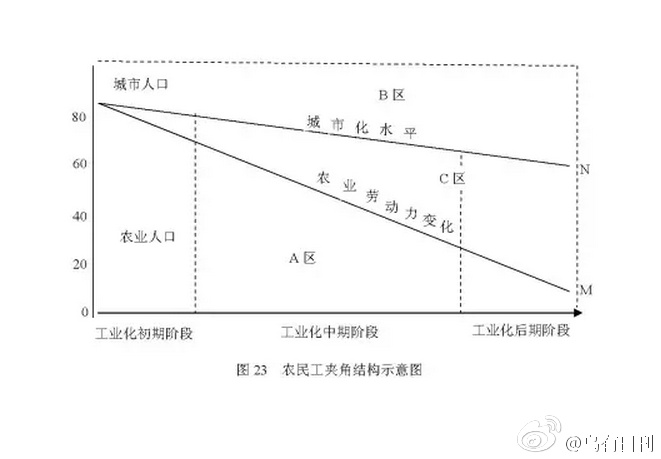 沙河视频，网络现象的解读-第2张图片