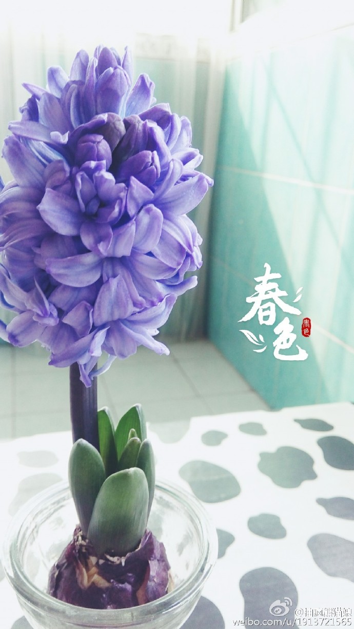 暖暖的午后，免费欣赏日本在线影片
