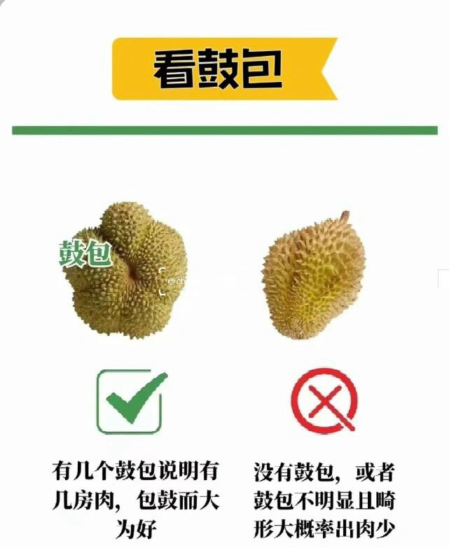 榴莲视频7.4.1版本20mb下载榴莲视频7.4.1，探索未知的数字世界-第1张图片