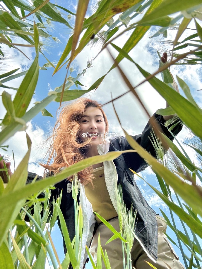 暖暖视频高清免费观看电视剧野花之美，高清免费观看完整视频中文版探索之旅-第2张图片