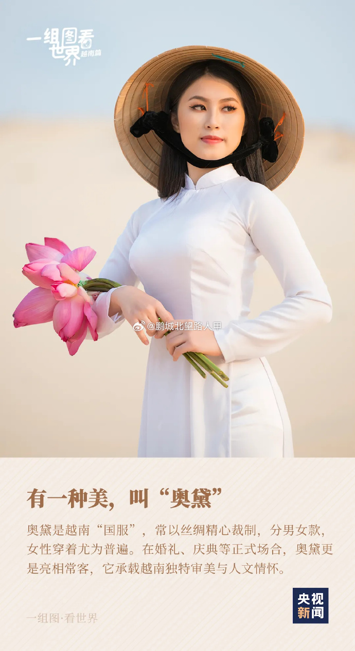 越南女人美吗?探索越南女人之美，毛茸茸的独特魅力