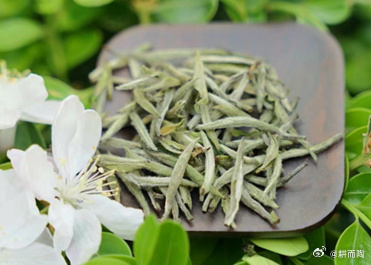密芽的秘密世界-第2张图片