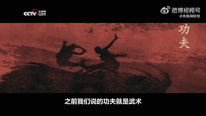 纷影连环踢，武术之魂的独特展现-第3张图片