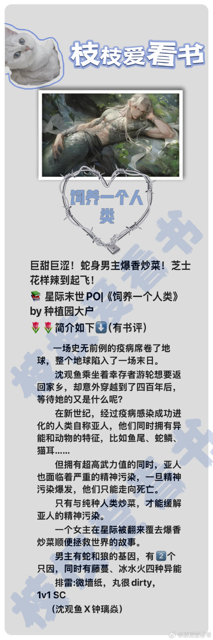 前一个后一个会撑坏的小说前一个与后一个，如何避免过度摄入食物的潜在风险-第1张图片