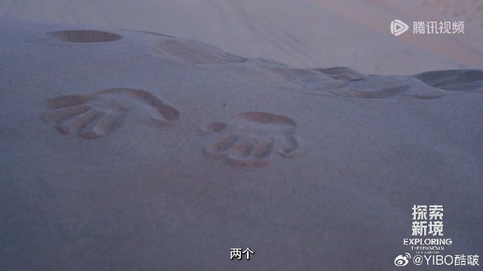探索爱爱18P的多元世界-第2张图片