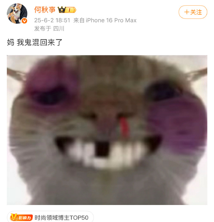 718吃瓜网与张津瑜的瓜分故事-第3张图片
