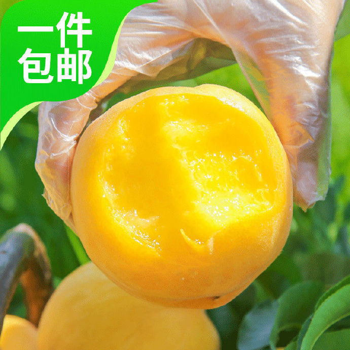 9612黄桃视频ios在线播放探索9612黄桃视频入口页面安卓版-第2张图片