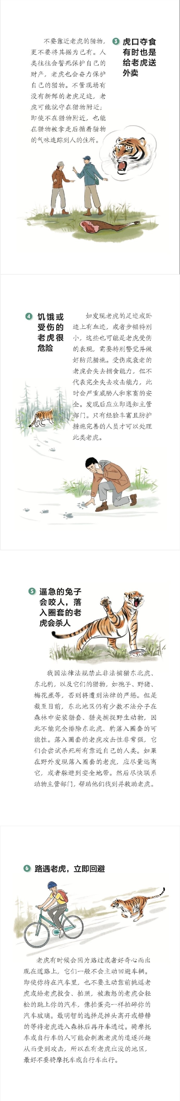 动物界也有哨兵猕猴群休息时一般由谁站岗动物界中的哨兵，守护与生存的智慧-第2张图片