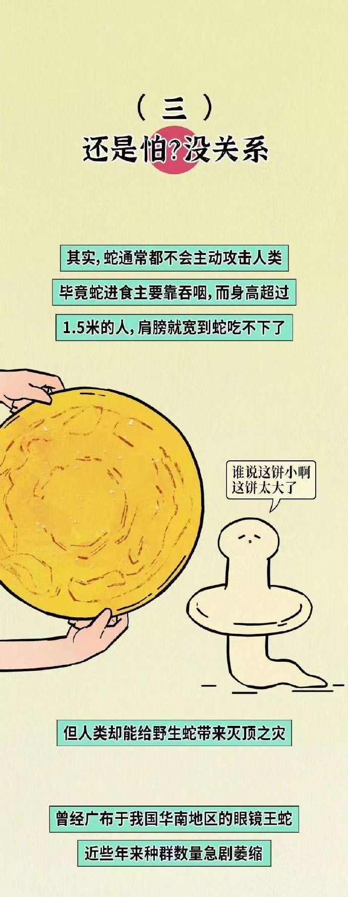 蛇根之困，两条蛇根的巨大膨胀与疼痛的挑战-第2张图片