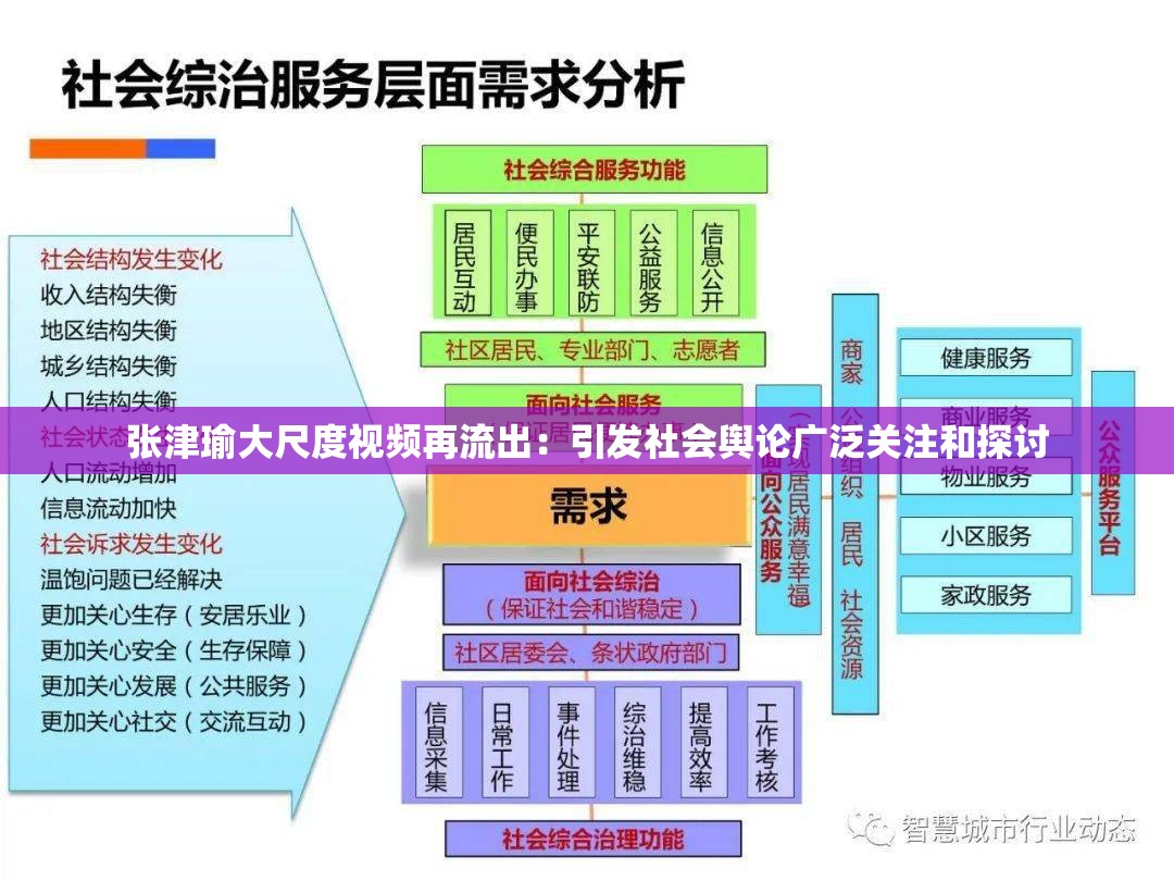 张津瑜事件，网络舆论的反思与影响-第3张图片