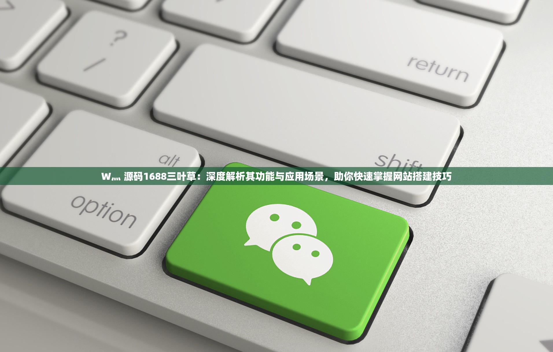 成品网站W灬源码，探索16伊园功能的无限可能