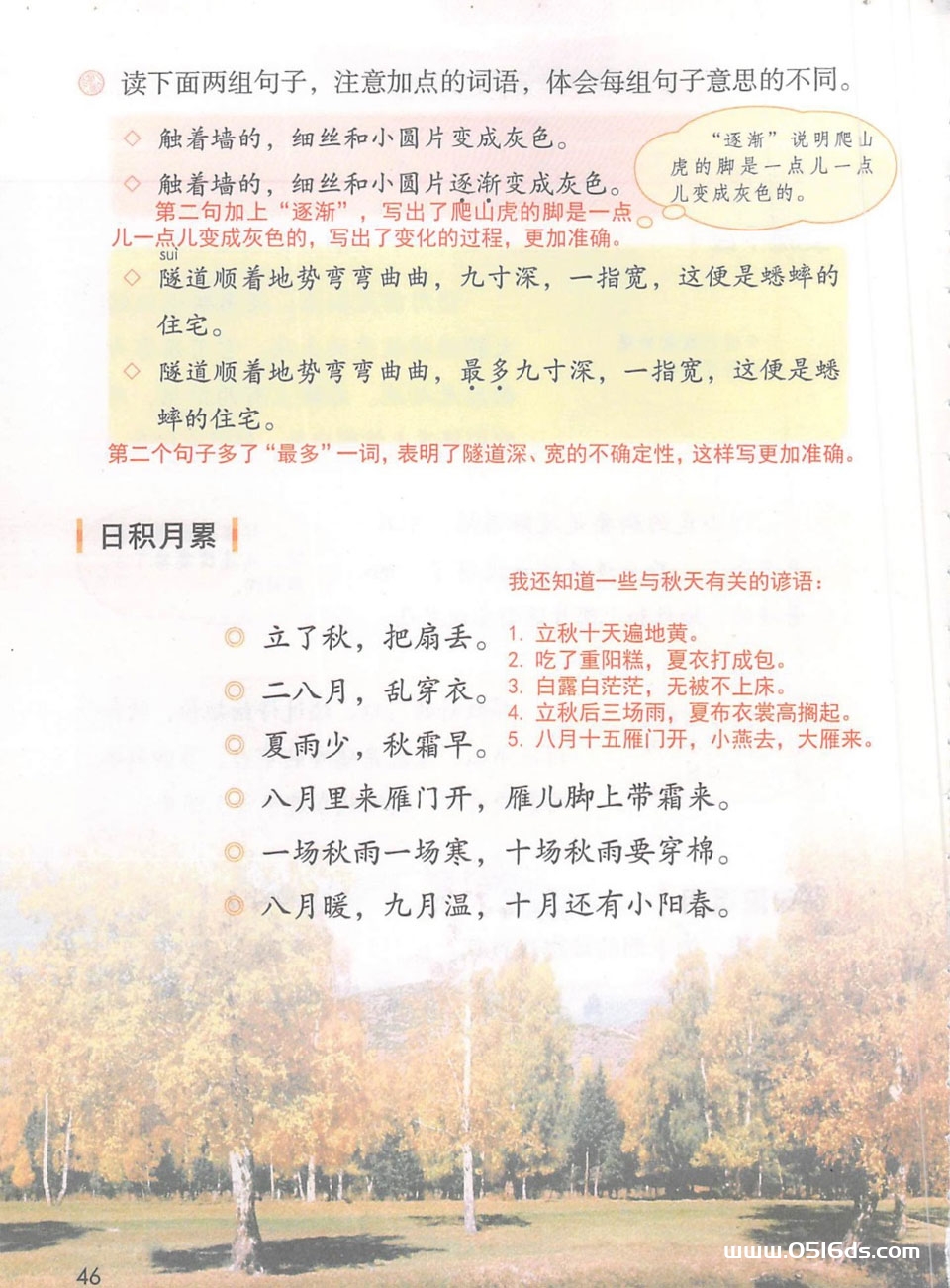 第四色400第四色400的探索与发现