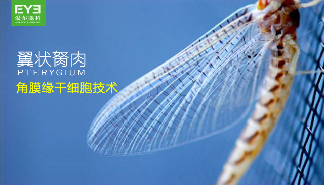 超级胬肉系统超级胬肉系统的探索与应用-第3张图片