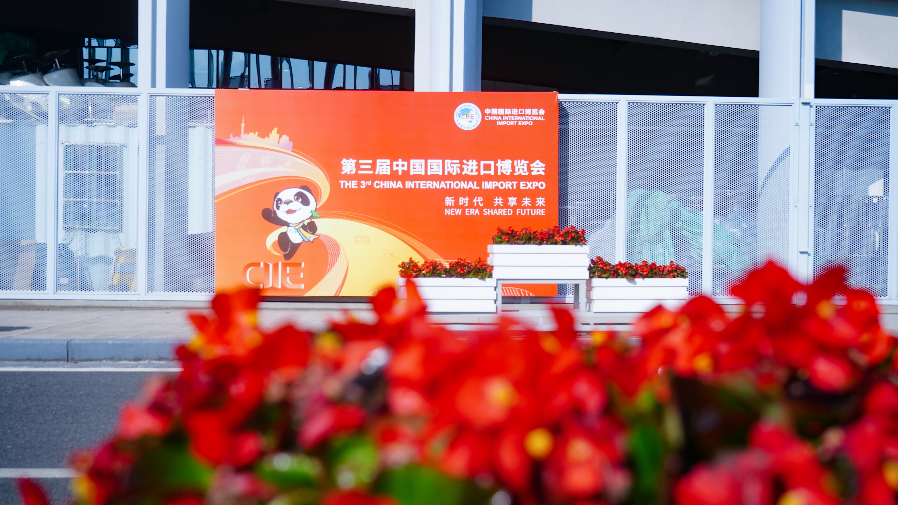 窝友网窝友网，社交新时代的共享生活-第2张图片
