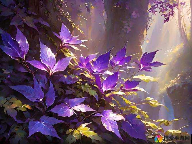 寻找那道紫色光芒-第2张图片