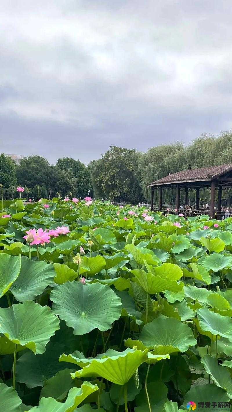 亭亭玉立国色天香四月天科普天天精品，品质生活的选择