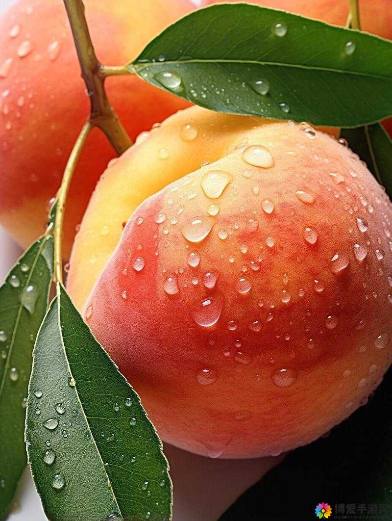 水蜜桃8844入口水蜜桃8844的魅力之旅