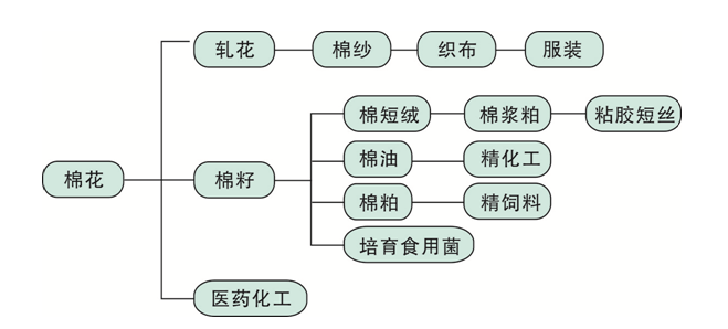 精产国品一二三级产品区别精产国品一二三级产品区别详解-第2张图片