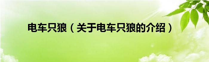电车之狼游戏攻略视频电车之狼小游戏，一场刺激与冒险的旅程