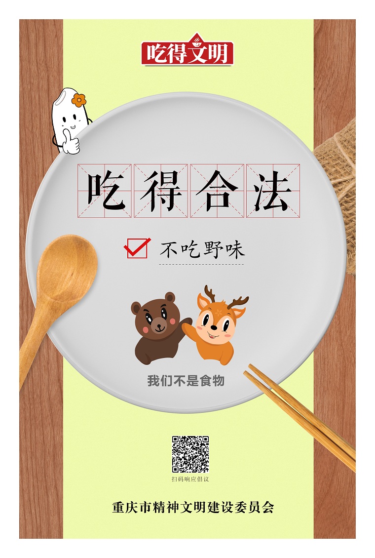 猫咪有你有我足矣入口2021与猫咪共度时光，2021年，有你有我足矣-第2张图片