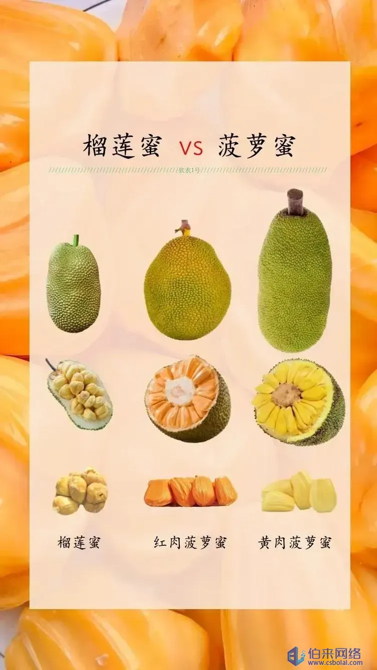 草莓樱桃丝瓜绿巨人秋葵直播草莓樱桃丝瓜绿巨人秋葵大全，营养丰富的果蔬世界-第2张图片