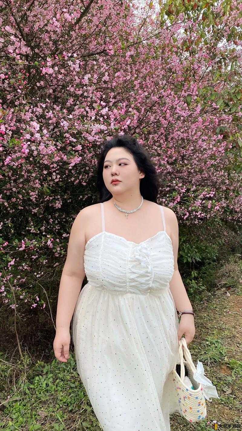 探索欧美BBW极品另类之美