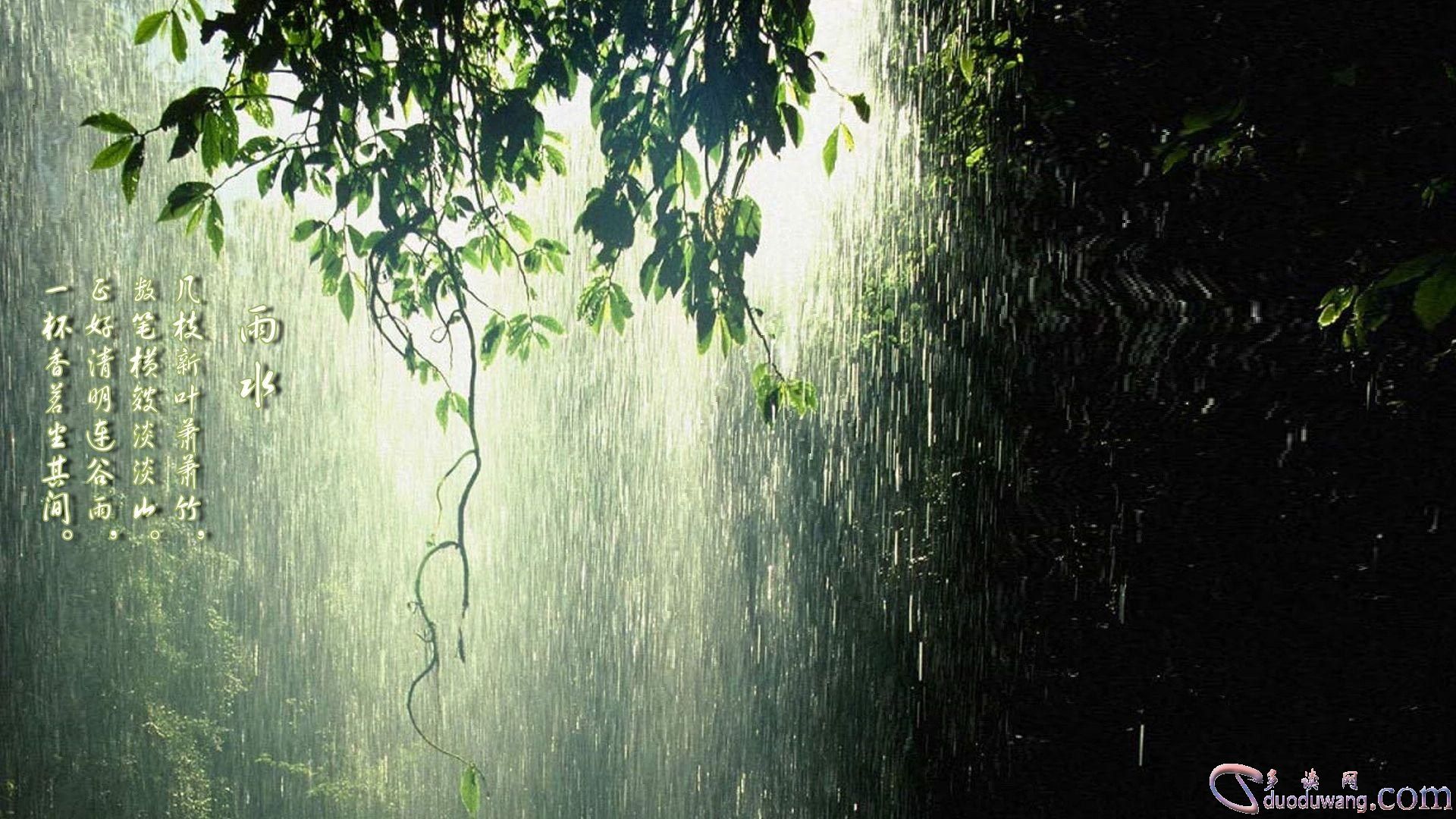 春雨直播在线观看高清视频网站春雨直播，在线观看高清视频的全新体验-第1张图片