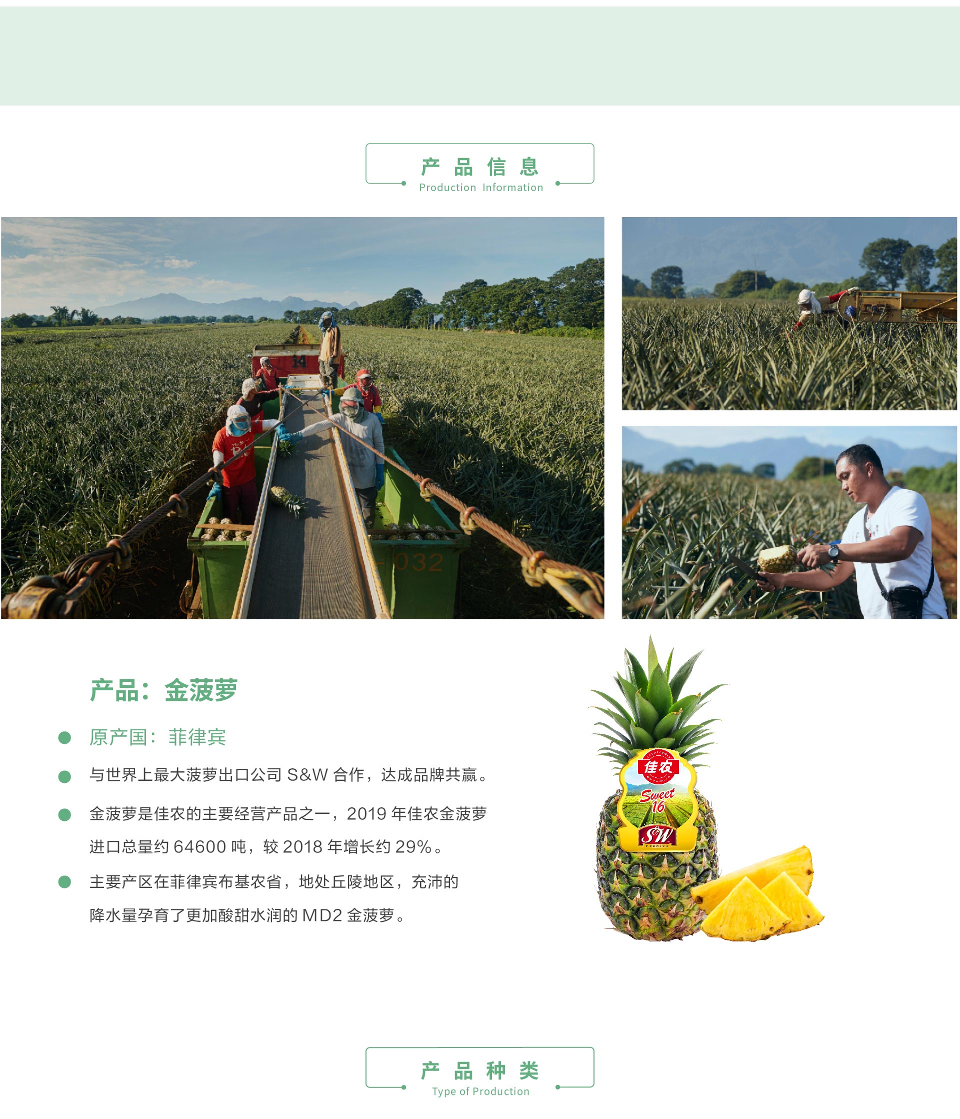 大菠萝app福引导之旅-第3张图片
