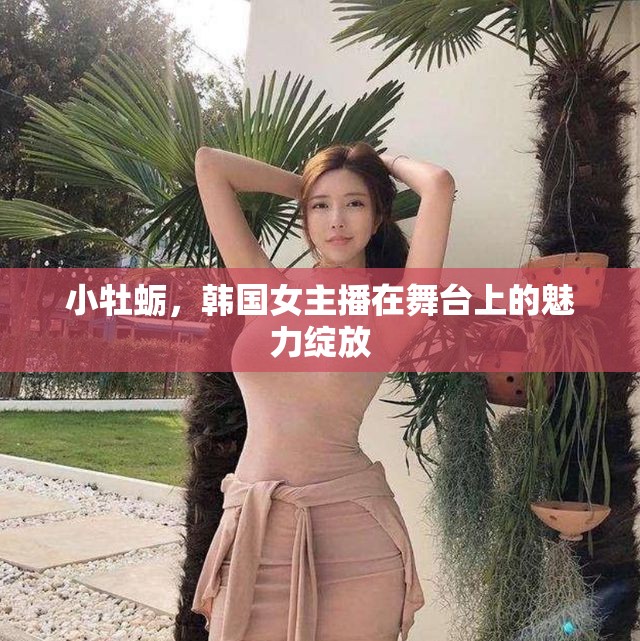 韩国女主播的魅力与下载方式-第3张图片