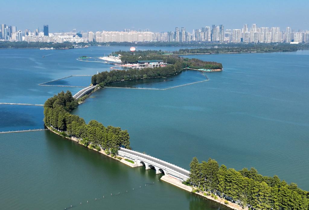 2022最新壁纸动态免费分享
