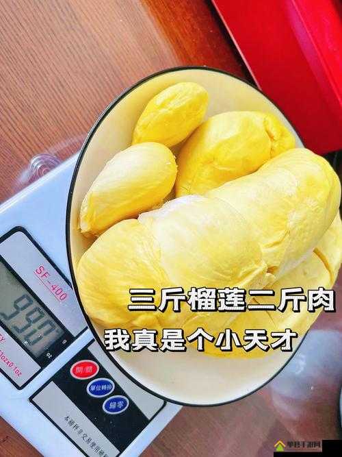 榴莲视频，免费观看与免费下载的体验-第3张图片
