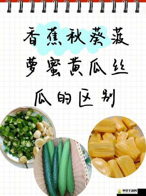 草莓丝瓜视频-丝瓜视18岁在线看草莓丝瓜视频——探索18岁在线观看的魅力世界
