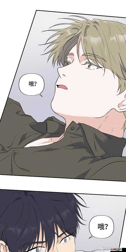 羞羞漫画免费登录页面入口及首页体验