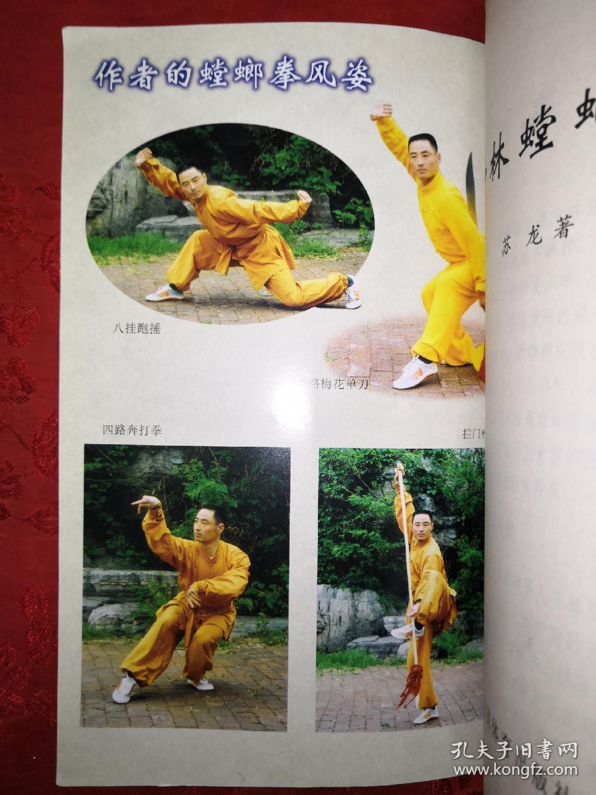 武魂少林职业攻略，如何合理加点